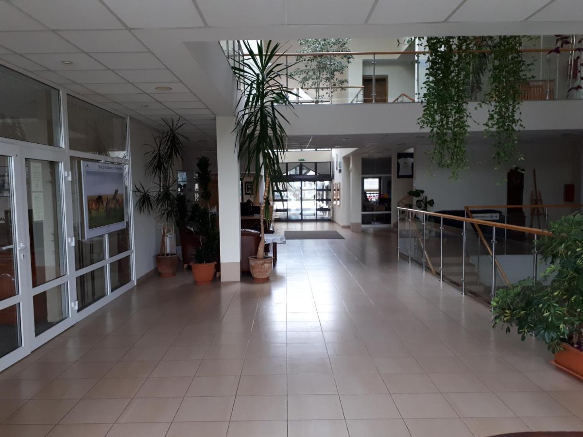 Pan Dom Pracy Tworczej W Wierzbie Wierzba Экстерьер фото